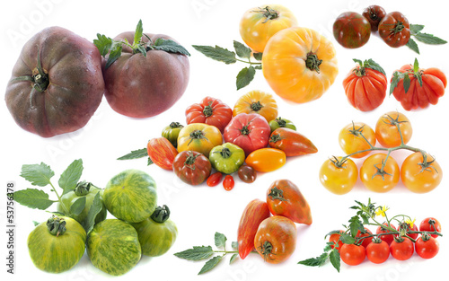 variétés anciennes de tomates photo