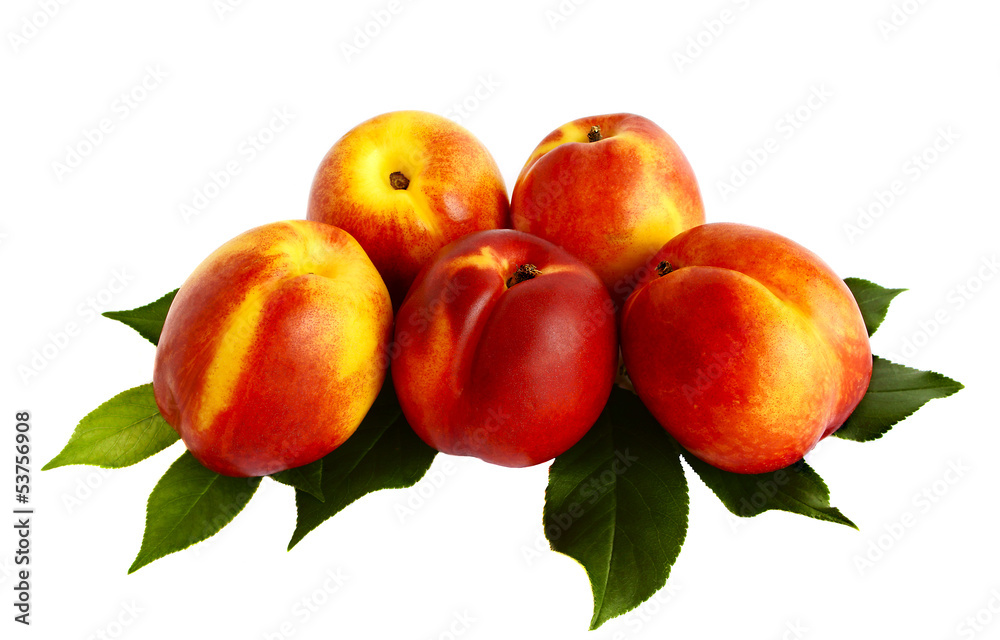 Five nectarines isolated on white background Five nectarines isolated on white background