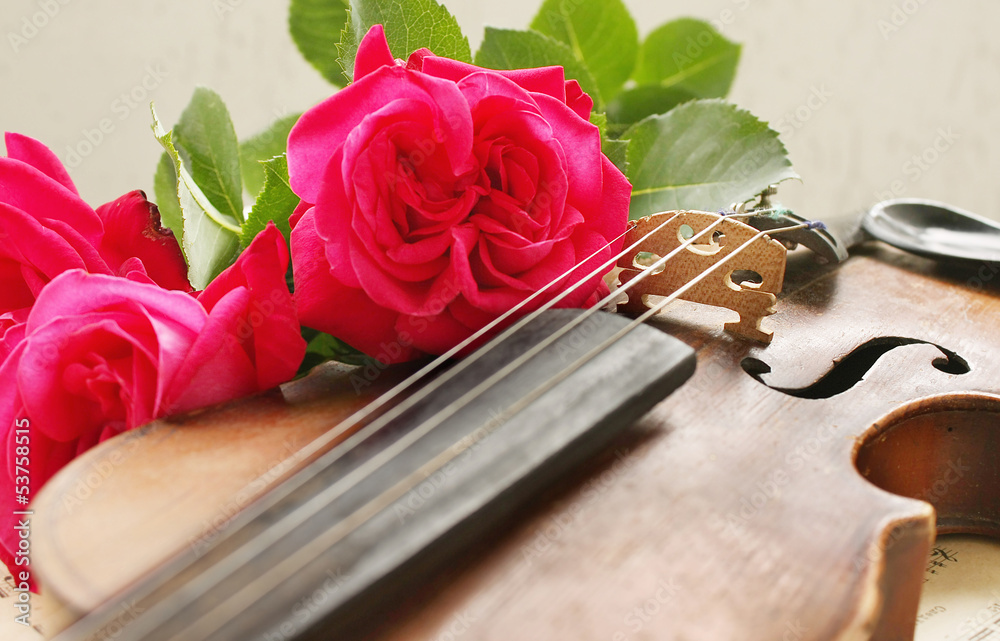 Fototapeta premium Beautiful violin