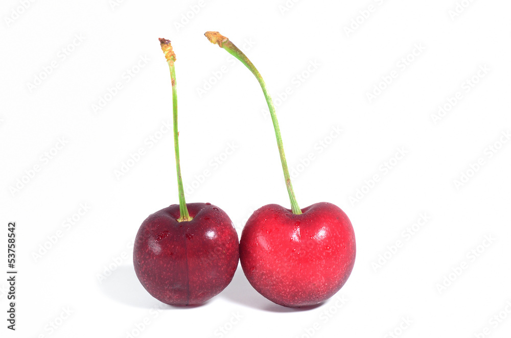 Double black cherries on isolate white background Double black cherries on isolate white background