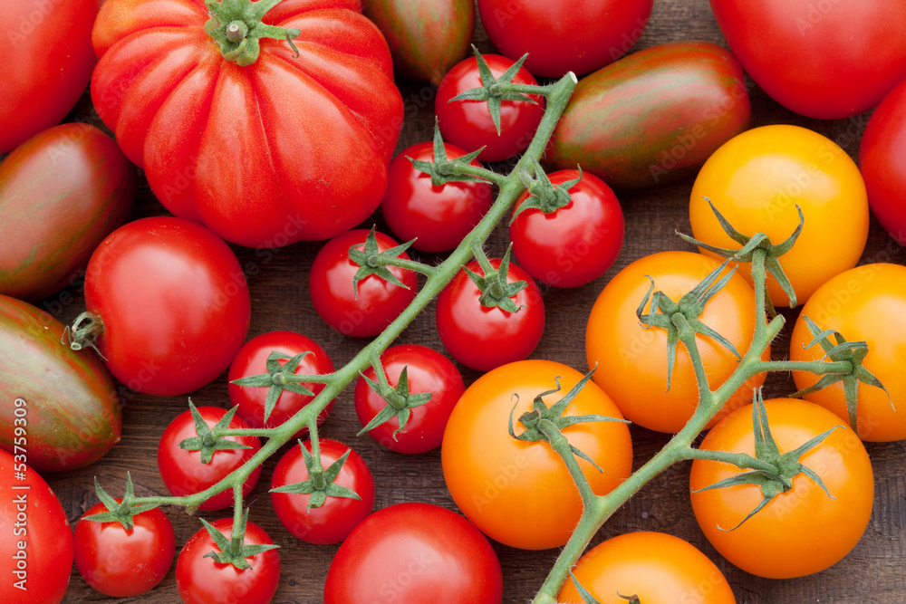 bunter tomaten mix bunter tomaten mix