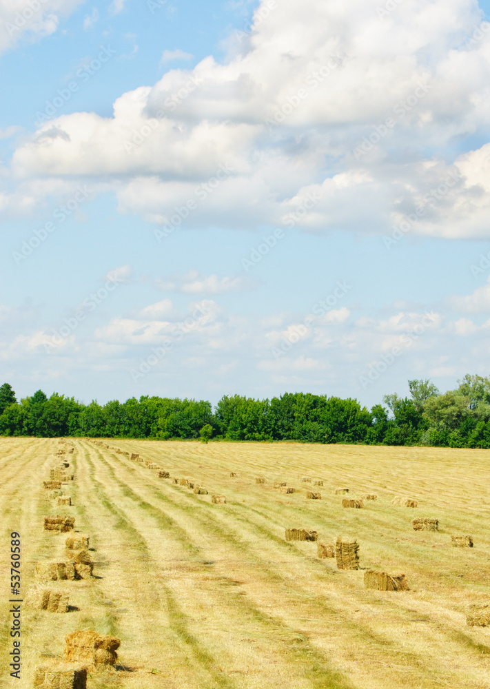 A farm field in the countryside filled with  hay bales