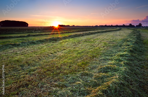 sunrise over green haymaking