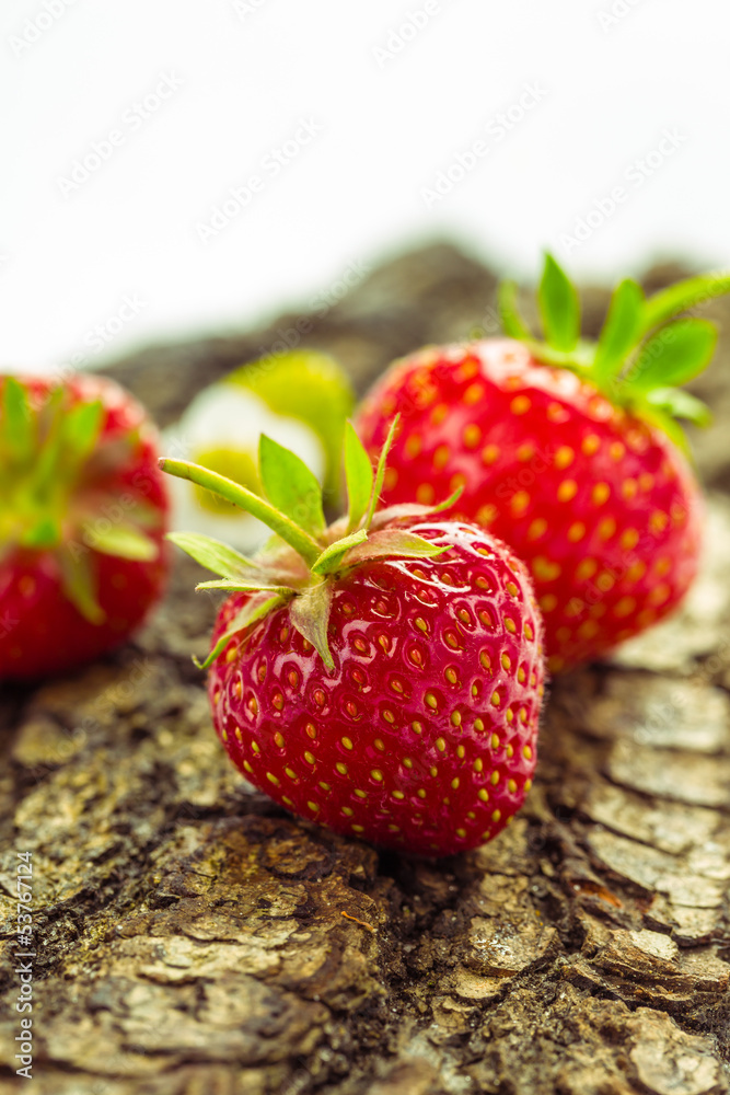 Erdbeeren Erdbeeren