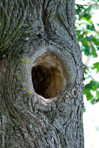 Fotografie Hollow
