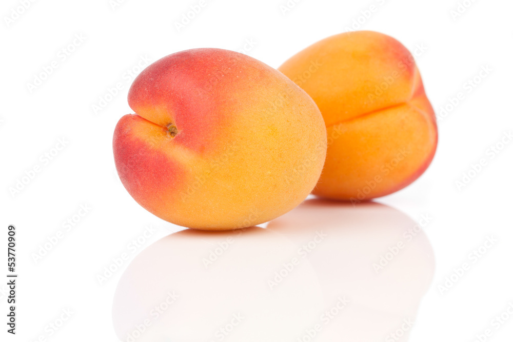 Two apricots isolated on white