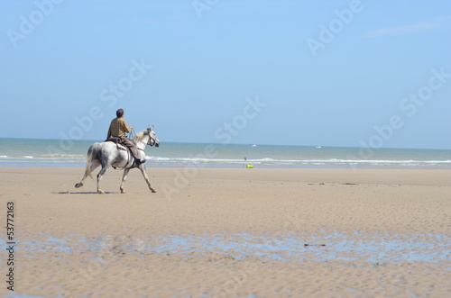 seul sur la plage photo