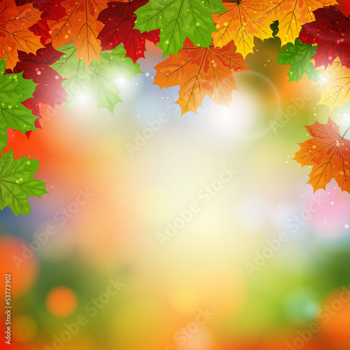 Vector Illustration of an Autumn Background with Leafs