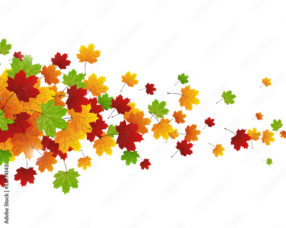Vector Illustration of an Autumn Background with Leafs