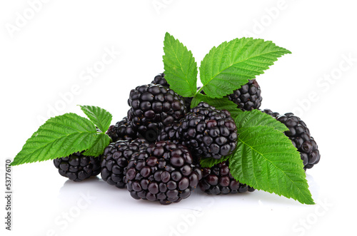 blackberry isolated on white