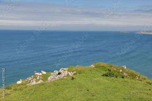 Tableau sur toile bords de mer au pays de galles