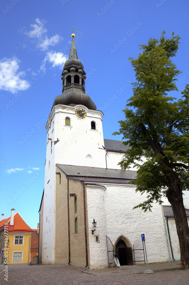 St Mary's Cathedral. Tallinn, Estonia