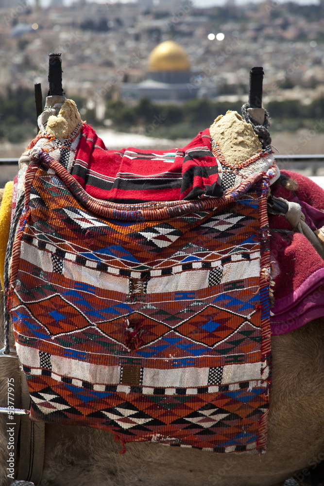 Obraz premium Camel Hump & Dome of the Rock