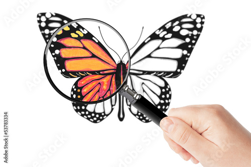 Butterfly and magnifying glass in hand