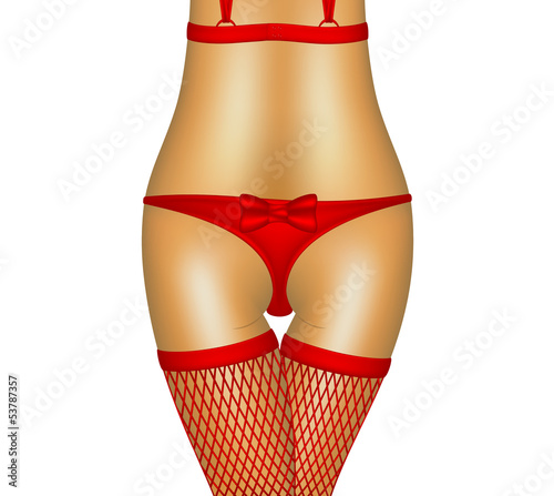 Sexy woman in lingerie, nylons and bra