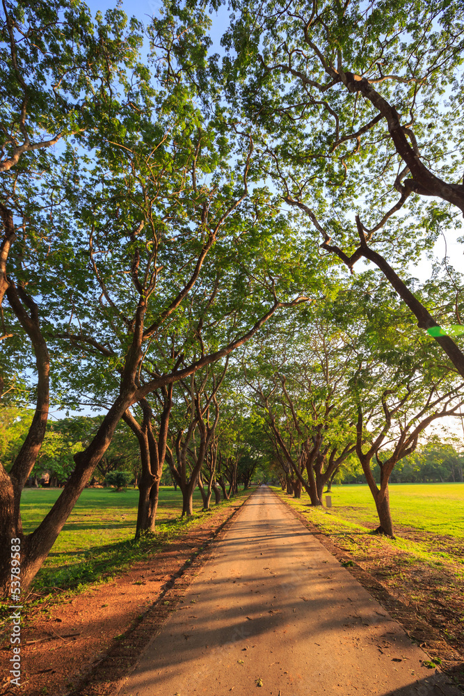 Fototapeta premium Dirt Road stretching out