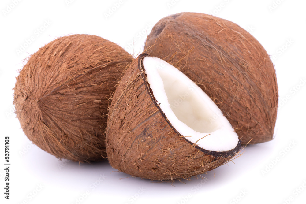 Coconuts isolated on white background Coconuts isolated on white background