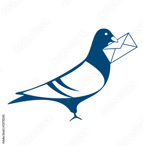 Brieftaube Bluebird