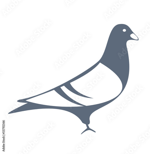 Taube