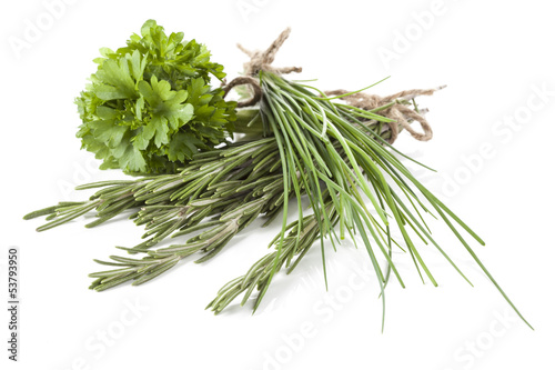 Different types of herbs