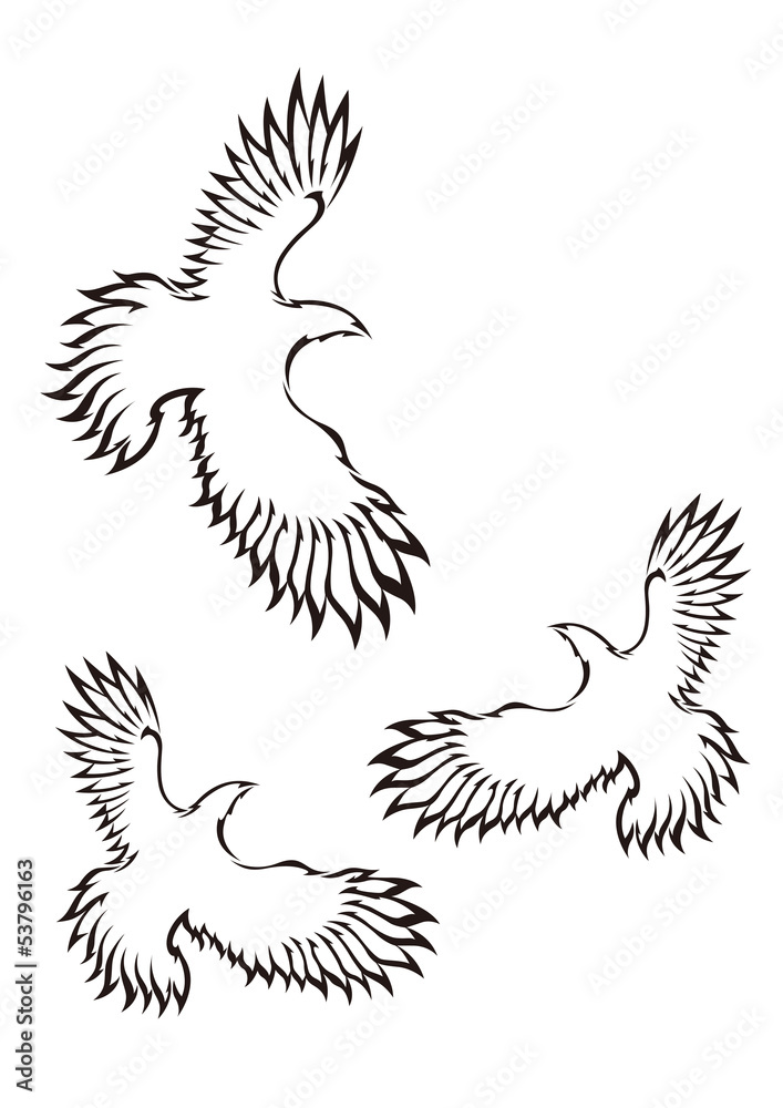 Fototapeta premium イーグル