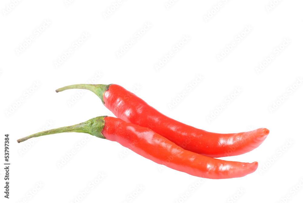 Red chilli pepper isolated on white background Red chilli pepper isolated on white background