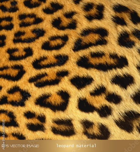 eps Vector image:leopard material