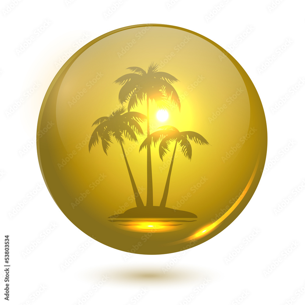 Palm landscape