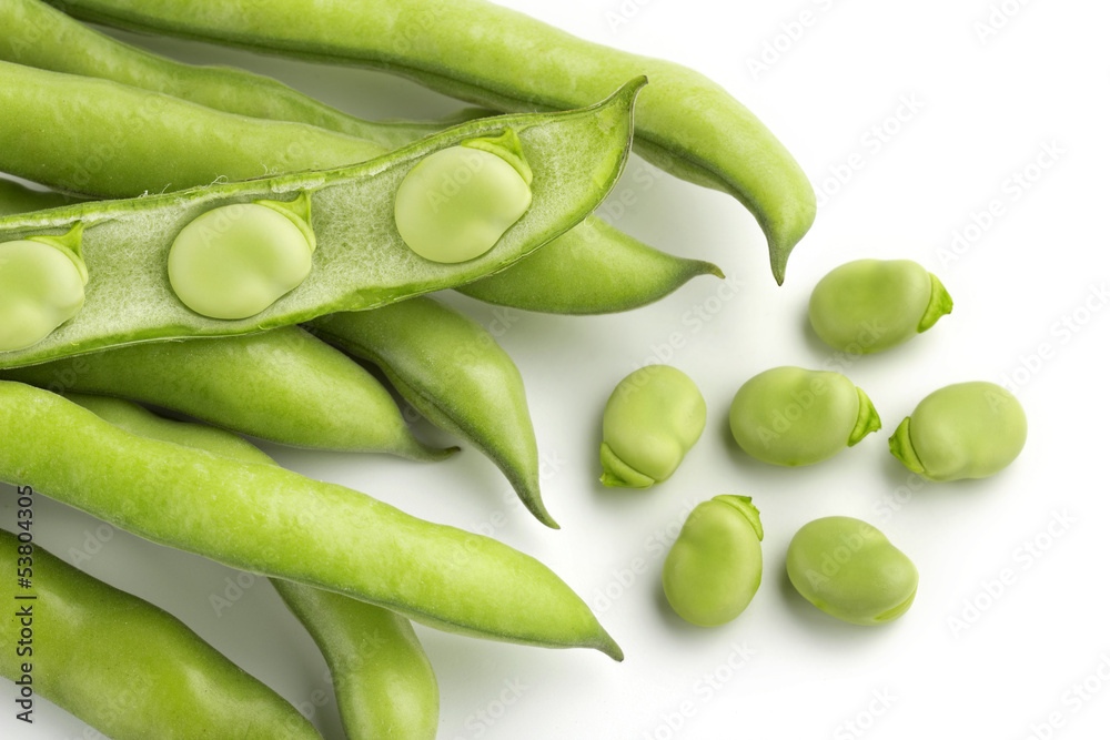 broad bean pods broad bean pods