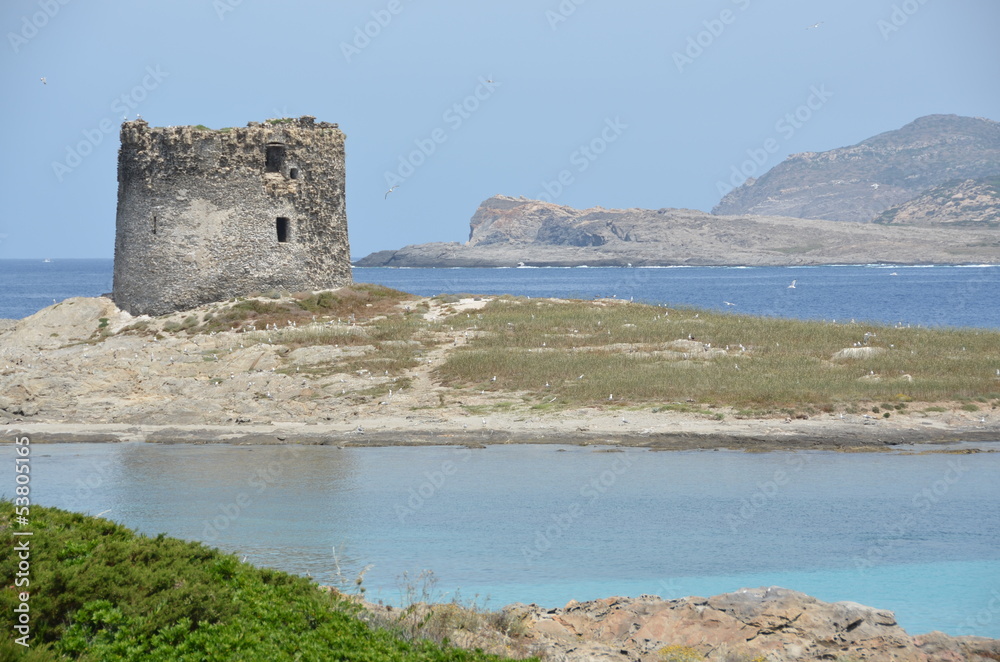 antique coastal tower at stintino