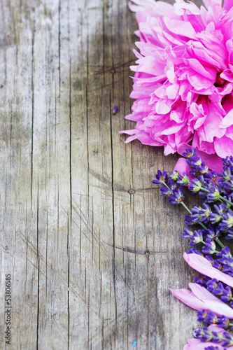 Lavender and peony over wooden background. With copy-space