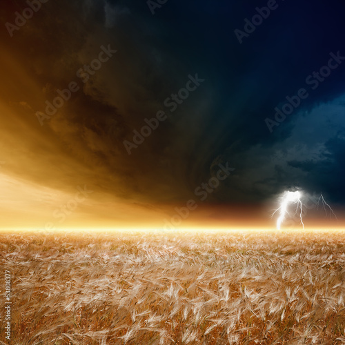 Stormy sky  ripe barley