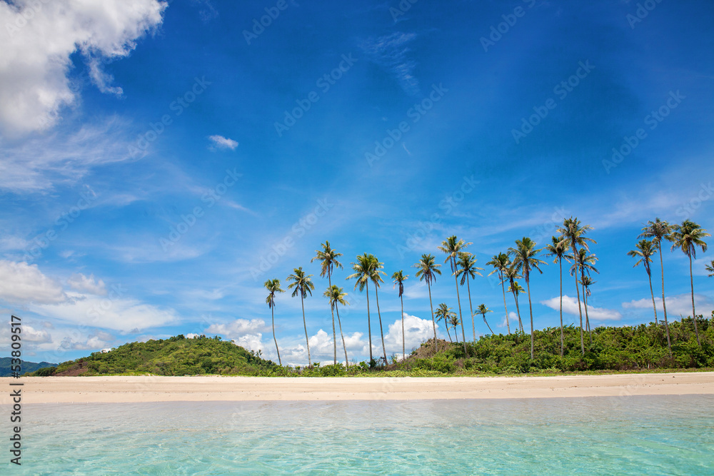 Palm and tropical beach - obrazy, fototapety, plakaty 
