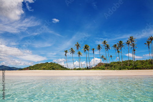 Palm and tropical beach