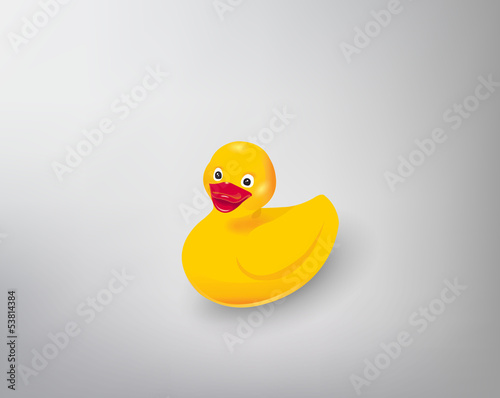 duck