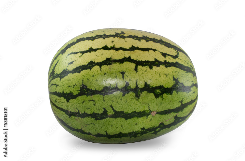 Wassermelone Wassermelone