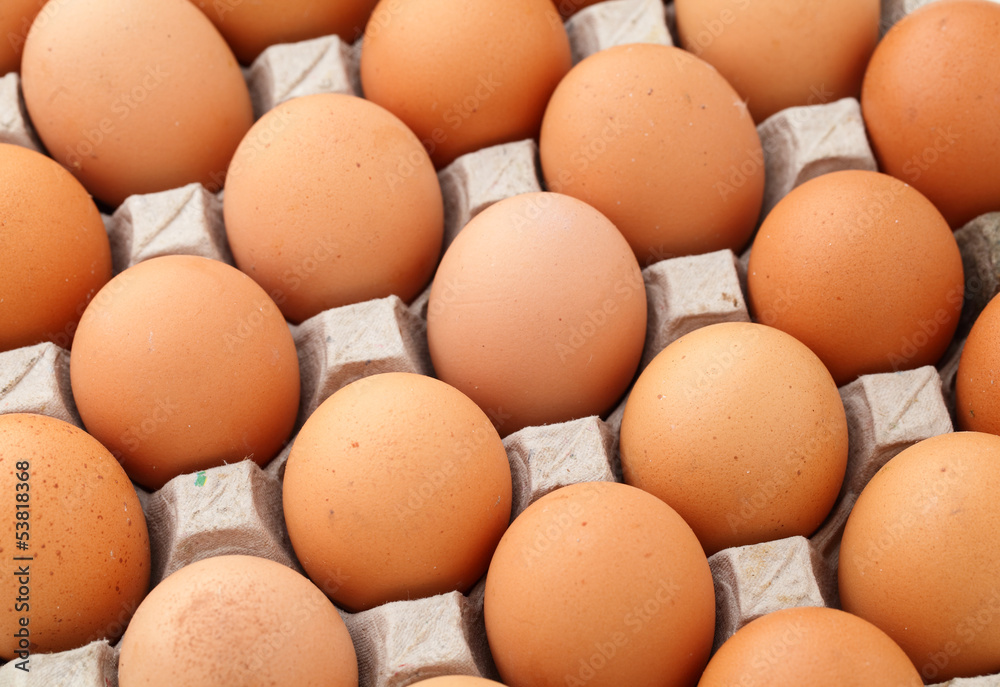 Farm egg in paper container Farm egg in paper container