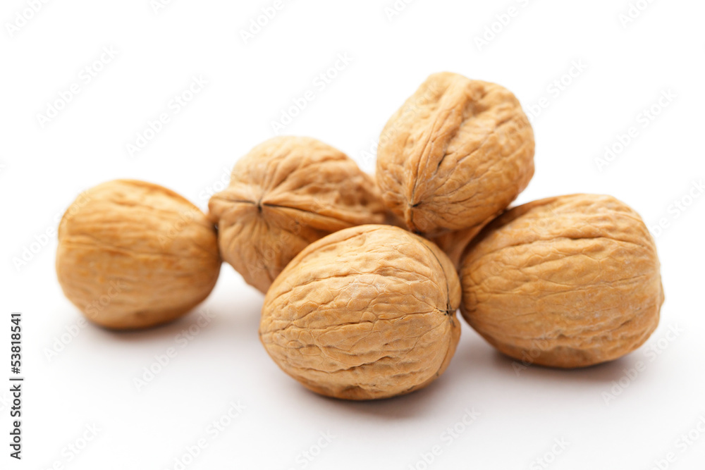 Walnut Walnut