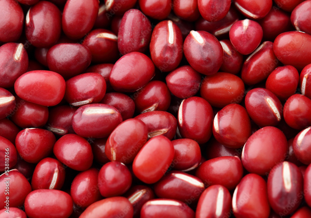 Adzuki Red Bean close up Adzuki Red Bean close up