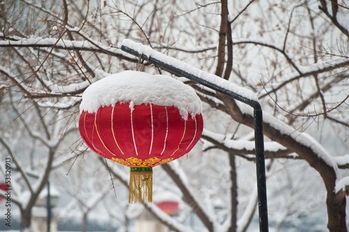 A Chinese lantern in the snow