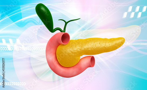 pancreas