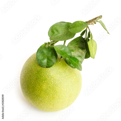 Pomelo or Chinese grapefruit photo