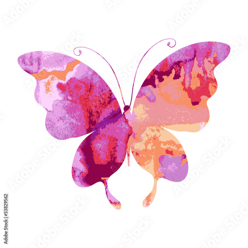 butterfly,butterflies vector