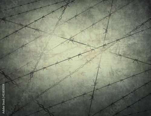 Prison. Jail. Illegal.(texture, background)