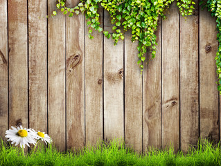 grass