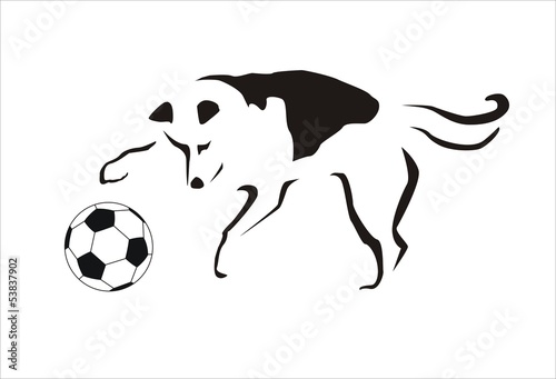 perro jugando