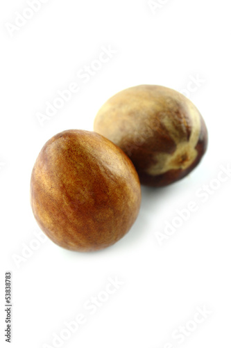 avocado seed