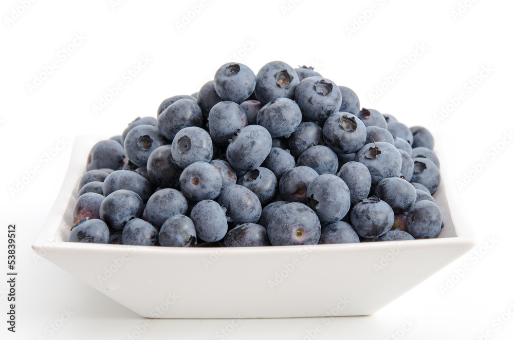 Blaubeeren in einem weißen Schälchen Blaubeeren in einem weißen Schälchen