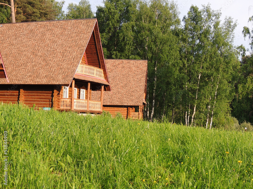Fototapeta premium Houses on the Bank of the pond