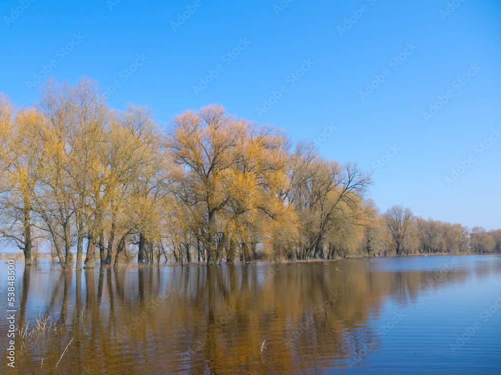 Spring high water on the river